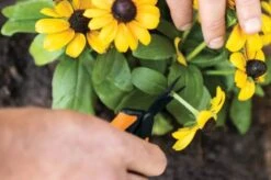 Fiskars Snip Saks SP131 -Køkkengrej Discountbutik 3990 0d88f17a 02e3 4012 96f0 8f352dd893cf