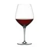 Spiegelau Authentis Bourgogneglas
