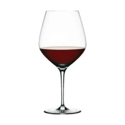 Spiegelau Authentis Bourgogneglas