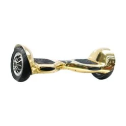 10" Gold Segboard