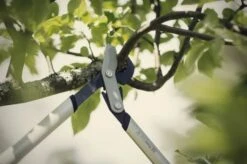 Fiskars PowerGear X Grensaks -Køkkengrej Discountbutik 3990 4b432091 726f 42b9 8acb e86002a3fd65