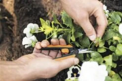 Fiskars Solid Beskæresaks -Køkkengrej Discountbutik 3990 71e48e94 b5ae 4498 81ee c04f37e6408b