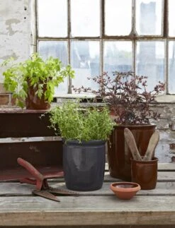 Knabstrup Keramik Syltekrukke -Køkkengrej Discountbutik 3990 922b60a1 4735 4b35 a2d6 837e874db75a