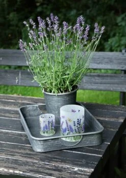 Bakke -Køkkengrej Discountbutik 3990 9d57a594 d7e5 4962 8ac6 3db868f468f4