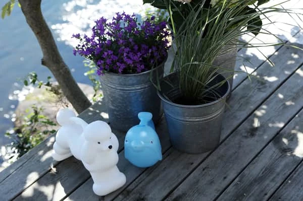 Vandkande - Puddelhund 4 Vandkande - Puddelhund - Billede 2