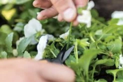 Fiskars Snip Saks SP131 -Køkkengrej Discountbutik 3990 b5b19e1e 701e 4c7c bb9c 7c768d8466a0