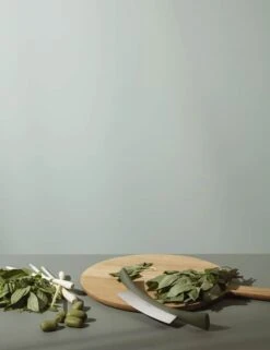 Eva Solo Green Tool Vuggekniv 9 Eva Solo Green Tool Vuggekniv -Køkkengrej Discountbutik 3990 bca8650e 81be 4aaa 95dd ea02ba5f859c