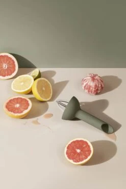 Eva Solo Green Tool Citruspresser -Køkkengrej Discountbutik 3990 f7d2a595 3d0d 46cc 9281 8edd4836adba